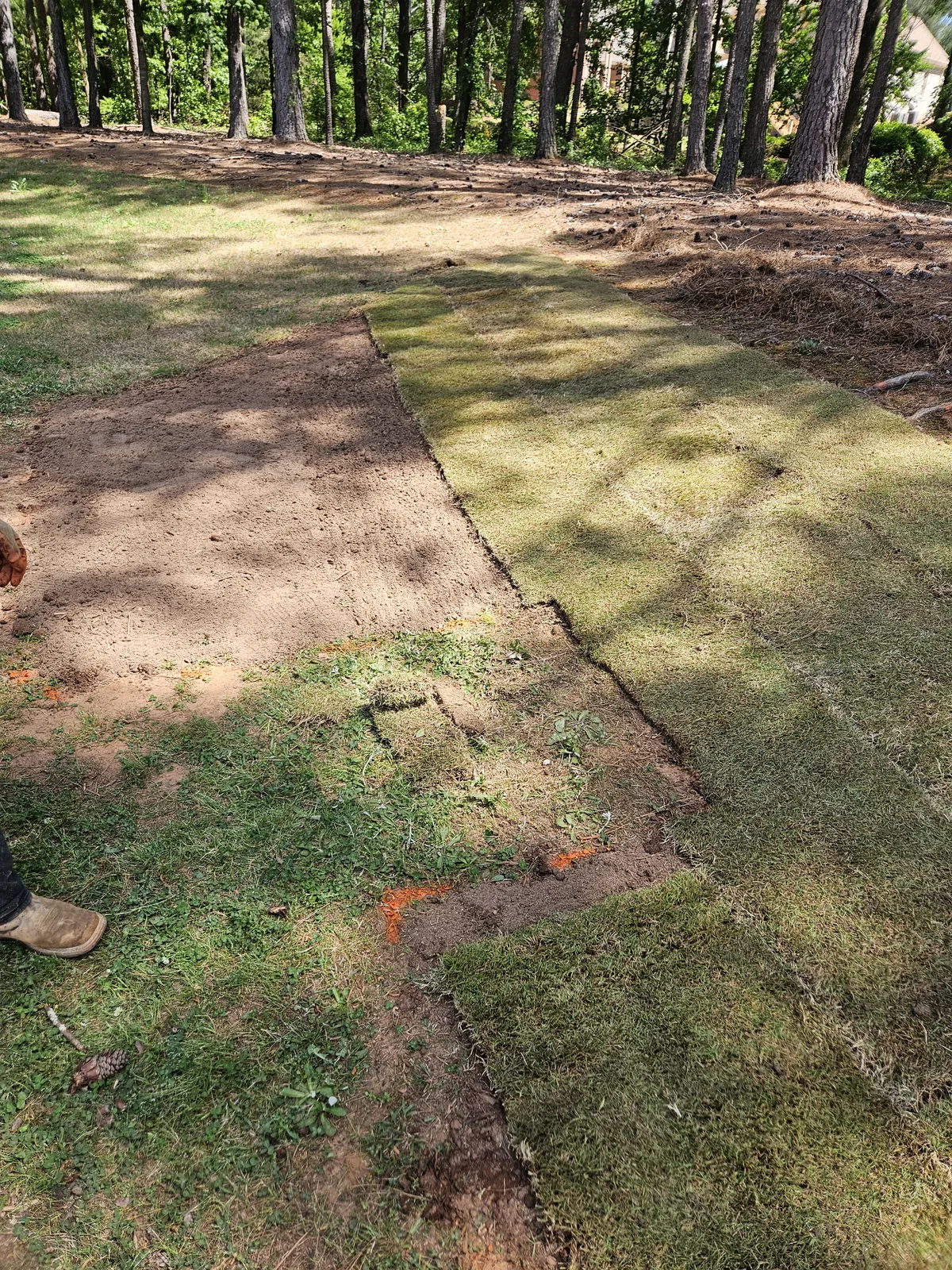 Liba Landscape crew installing sod at a commercial property in Newton County GA