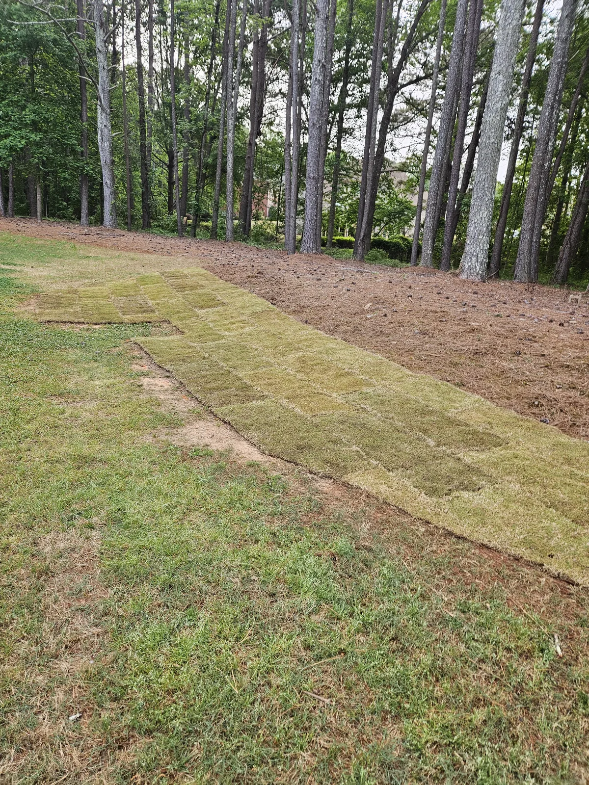 Sod being laid at a commercial property in Covington Georgia
