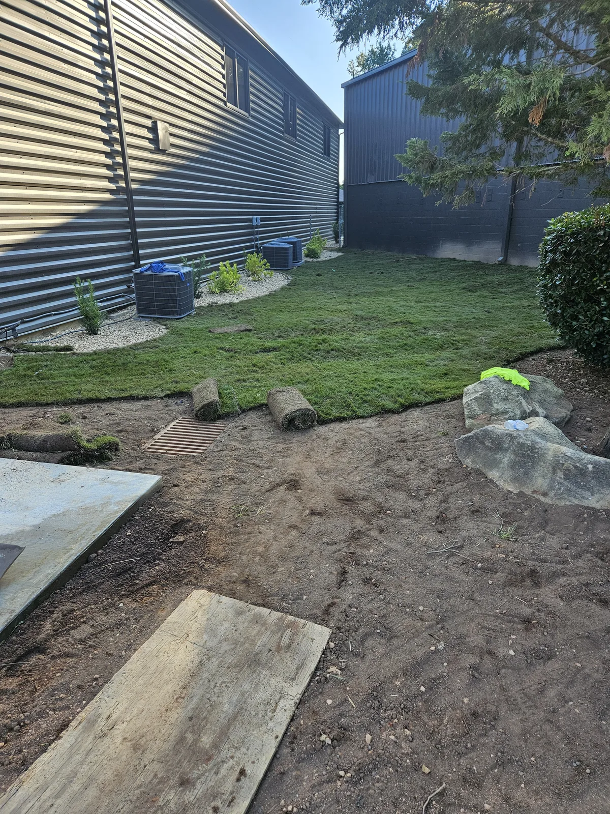 Fresh sod strips laid along a fence line in Newton County Georgia