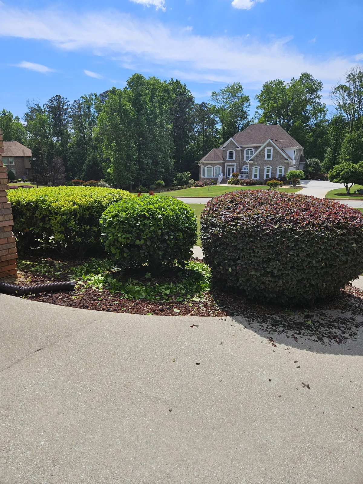 Lawn care and shrub trimming in Covington, GA
