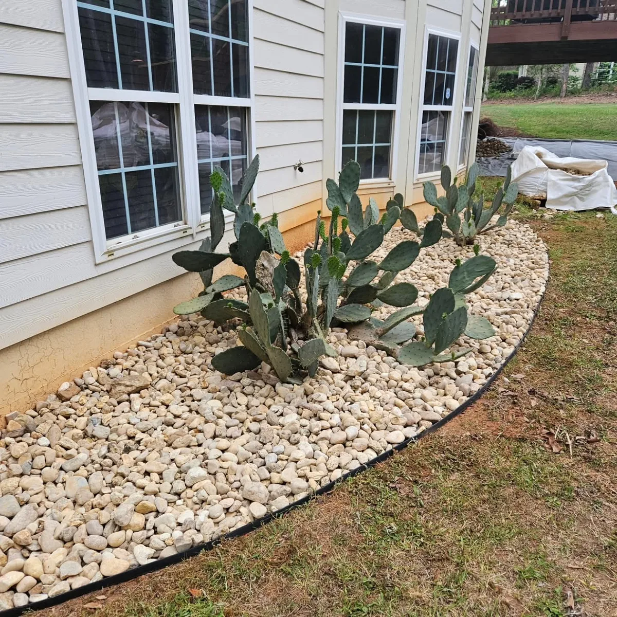 Completed decorative rock bed with cactus plantings in Newton County