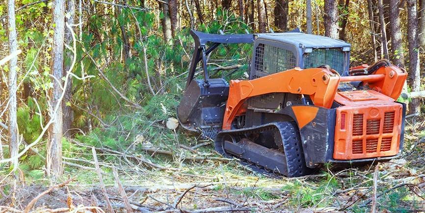 Land clearing in Covington, GA